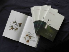 livre tourneciel web Le Tourneciel